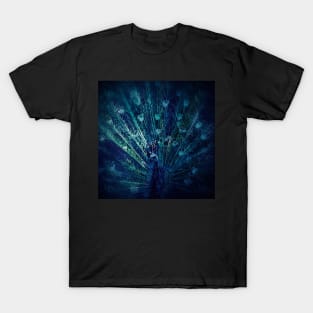 Peacock T-Shirt